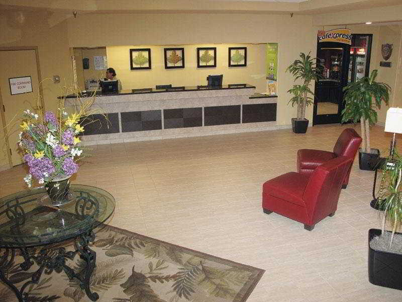 La Quinta By Wyndham Minneapolis Bloomington W - Free Airport Shuttle Інтер'єр фото